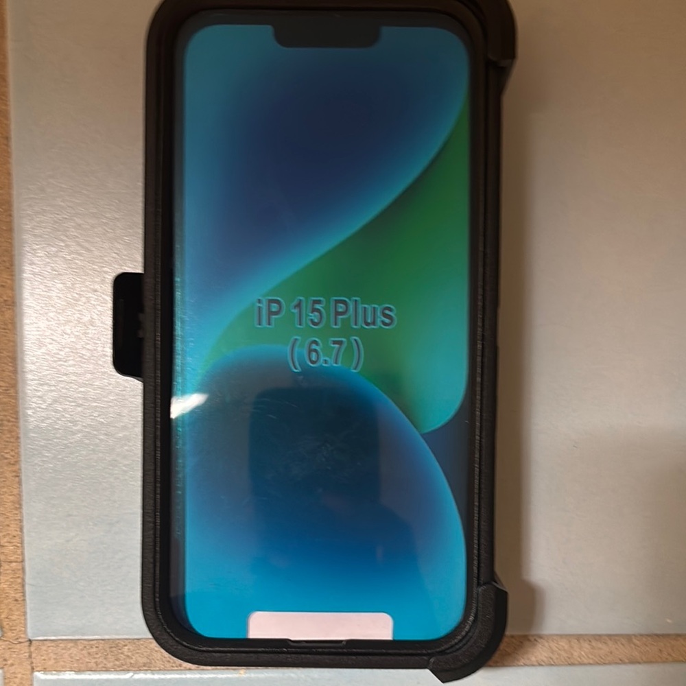 iP 15 Plus (6.7) Black Phone Case